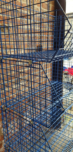 CLEARANCE: Used Wire Storage C2DS Filplastic Baskets with dividers (Bundle of 12 & 24 dividers) ), Green C2DS USED CLEARANCE, Filstorage