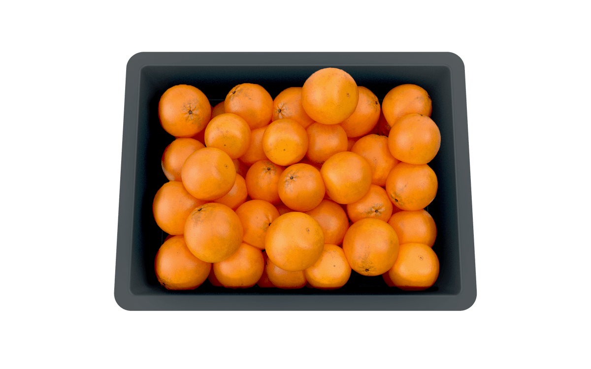 Euro Stacking Container 120mm H x 299mm W x 399mm D, 1, Filstorage