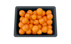 Euro Stacking Container 120mm H x 299mm W x 399mm D, 1, Filstorage
